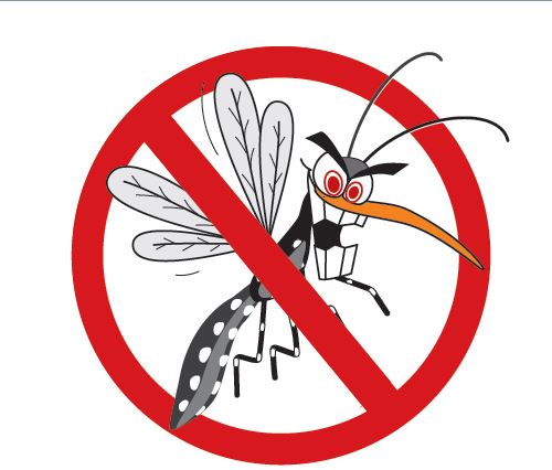 mosquito da dengue